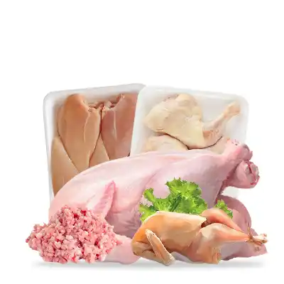 Chicken