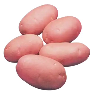 Lal Alu